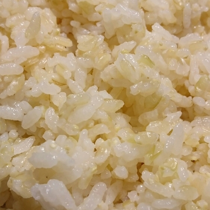 ストウブDE〜発芽玄米入りご飯